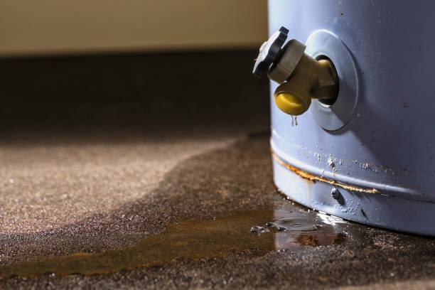 Best Residential water damage restoration  in Bicknell, IN